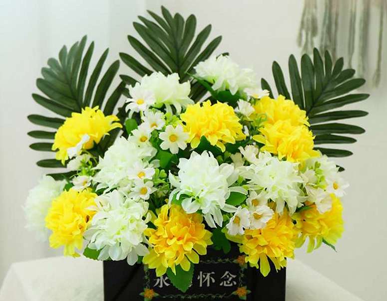 O1CN01mzgFkS1z22YnoMIGY_!!2901846655-0-cib.jpg